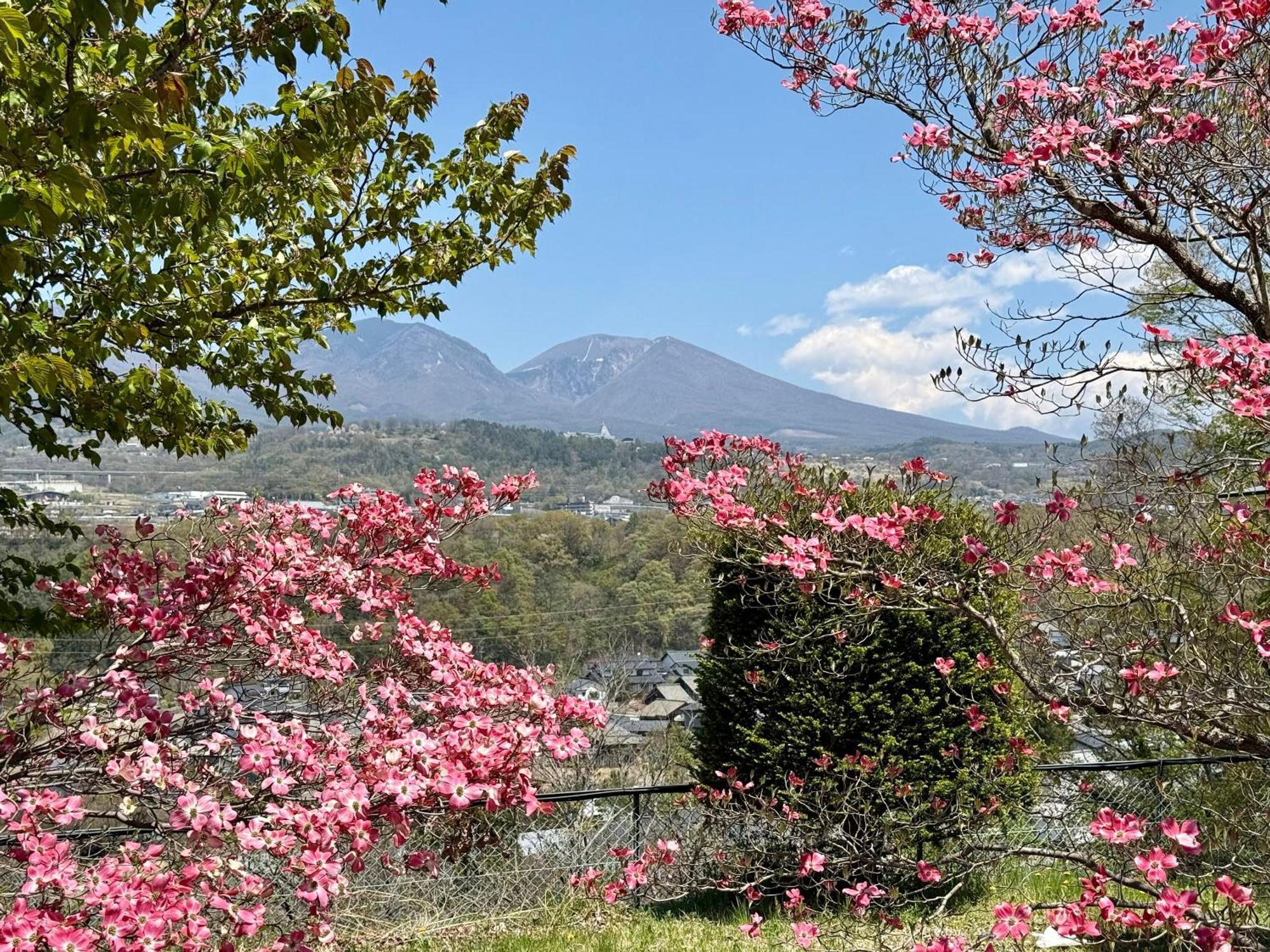 Nunohiki Onsen Komoro Dış mekan fotoğraf